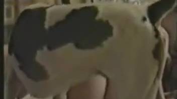 Slender women pounded by canines in vintage porn film