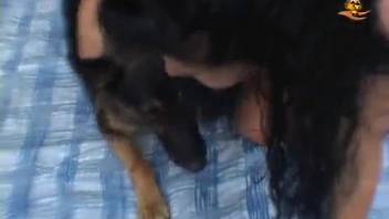 Busty babe and skilled pup are screwing in doggy position