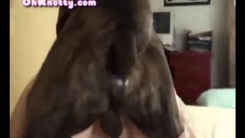 Black dog nicely drills my cheating wife in the bed