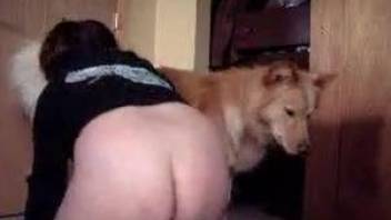 Fat bitch with big ass shows how big her doggy's dick is