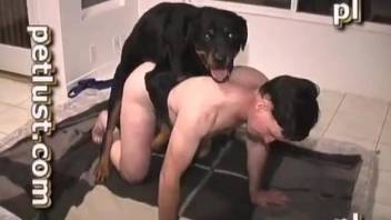 Angry black dog and nasty owner in filthy as fuck animality