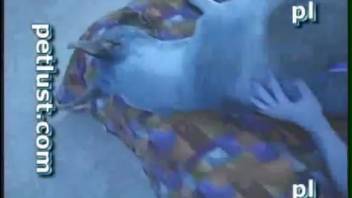 Dirty pooch and beast lover are banging intensely in amateur animal XXX