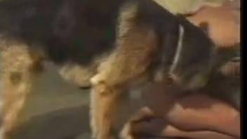 Guy and his animal buddy double-team a blonde chick from front and back