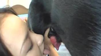 Intense fucking session with a group of Japanese bestiality fans