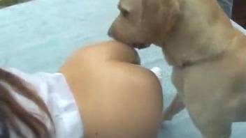 Good Asian chick gets her pussy licked by black dog