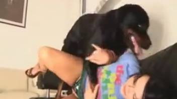 Brunette with cropped hair relishing canine semen following intense fucking