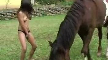 Tanned Latina gets her pussy gaped by a really hung horse