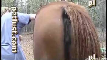 Shorts-clad guy finally discovers a horse for intense pounding