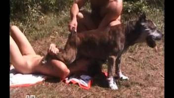 Skilled brown canine banged my adorable animal lover in her charming position