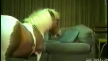 Farmer attempting to screw his adorable young horse