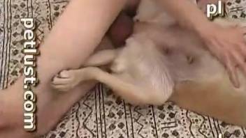 Passionate zoophile stimulates and fucks his sexy dog