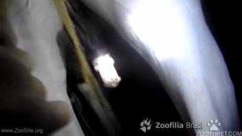 A countryside man handles a massive equine penis during the night in a bestial encounter.