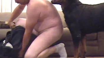 Fat zoophile banged by big black dog from behind