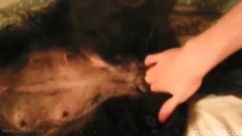 Dirty anal animal sex with a black dog and male beast lover