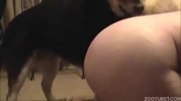 Filthy amateur canine zoophilia in butt-to-butt position