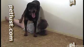Vile animal lover performs deep oral sex on an aroused canine