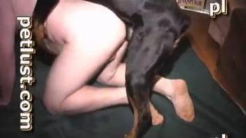 Gorgeous black dog and fat zoophile in disgusting bestiality
