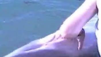 Dolphin finger fucking adult zoophilia in outdoor scenes