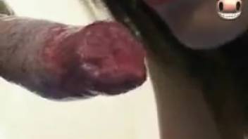 Oriental babe and her frisky pooch are screwing in the hospital room
