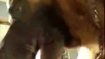 Aroused lady yearns to perform oral on canine dick before animal intercourse