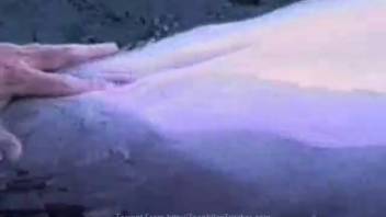Insane animal lover shoves his filthy digits into a dolphin's narrow opening.