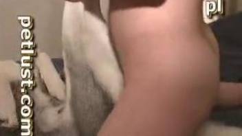 Dirty zoophile has bestiality sex with Husky in missionary pose