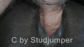 Rancher thrusts his cum-filled dick into the narrow backdoor of a male horse