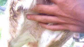 Guy inserts his stiff fingers into a woman's tight rear opening in doggy style