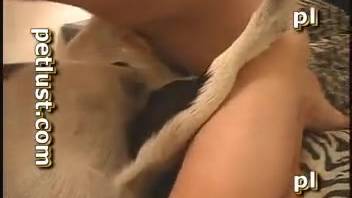 Slim young guy vigorously thrusts into his stunning partner from behind with intensity.