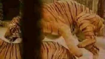 Sensual and passionate real tigers sex scene