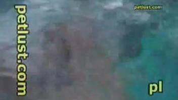See me toying with the large, sharp cock of an actual dolphin