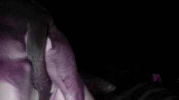 Voluptuous older woman lets the canine screw her for several sessions