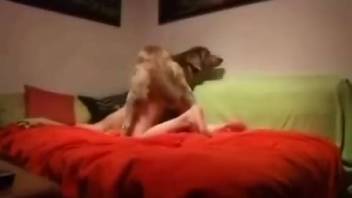 Homemade lady banged doggy style by her personal house animal