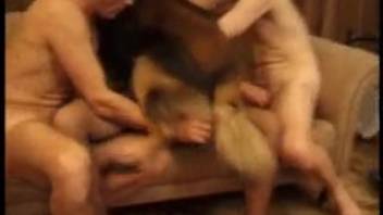 Adorable babe in dark nylons loves filthy animal sex with a canine