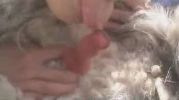 Cropped-hair mature woman screws an excited canine outside