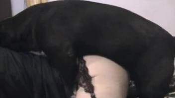 Woman in stockings stays on all fours and gets nailed by own dog