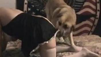 Blonde woman with big tits tries sex with dog