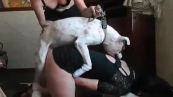 Black-dressed brunette gets anal penetration