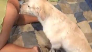Naked lady has her vagina mounted by the household canine
