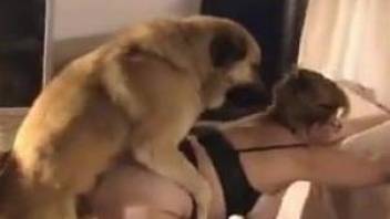 Female with glasses gets licked and fucked by dog