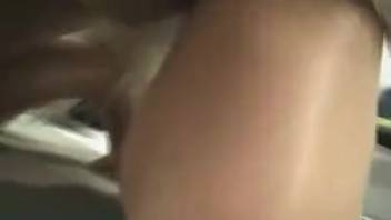 Girl with pigtails eagerly swallows a canine's massive cock