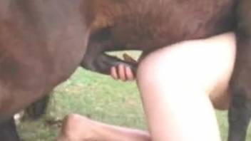 Pale zoophile dude enjoying hardcore anal with a horse