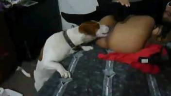 Dark-haired Latina relishing intense intercourse with a canine