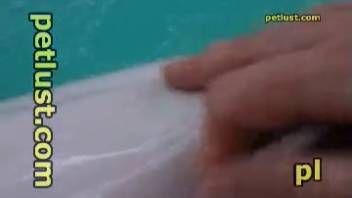 Dolphin gets an intensely erotic handjob from a POV perspective