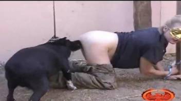 Blonde slut with big butt plays with dog in amateur ZOO XXX