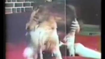 Vintage bestiality clip featuring a busty dark-haired woman