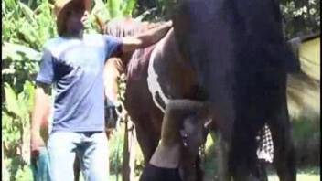 A passionate Latin woman begs this guy to suck his enormous cock