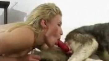 Beautiful girls work with mouth on erected dicks of their dogs