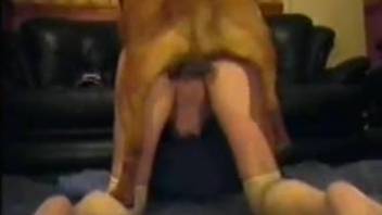 Slutty older lady enjoying rough sex with a brown dog