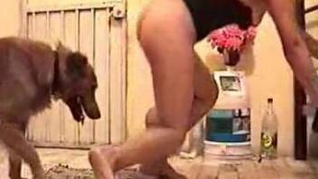 Chubby mommy getting her pussy plowed on all fours